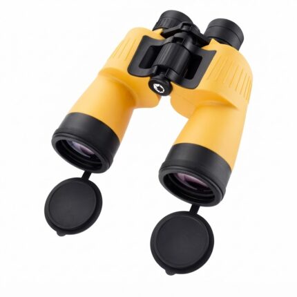 yellowblack_101350762_main